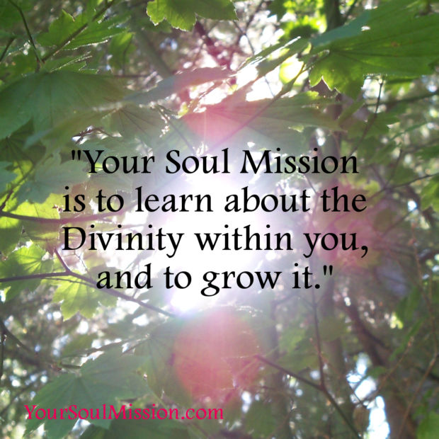 soul mission